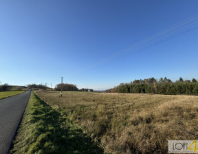 Działka na sprzedaż, Tarnowski Gromnik Polichty, 115 000 zł, 3000 m2, 168/LTN/DZS-678