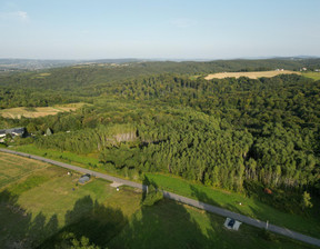 Budowlany na sprzedaż, Tarnowski (pow.) Pleśna (gm.) Dąbrówka Szczepanowska, 199 000 zł, 6500 m2, 1744