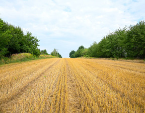 Działka na sprzedaż, Tarnowski (pow.) Lisia Góra (gm.) Śmigno, 115 000 zł, 1000 m2, 24