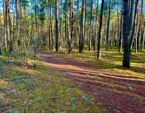 Działka na sprzedaż, Piotrkowski Aleksandrów Ostrów, 50 000 zł, 4600 m2, ARL-GS-1437