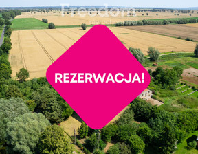 Dom na sprzedaż, Nowodworski Sztutowo Groszkowo, 389 000 zł, 240 m2, 13409/3685/ODS