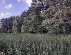 Działka na sprzedaż, Aleksandrowski Ciechocinek, 200 000 zł, 20 573 m2, 8104/3685/OGS