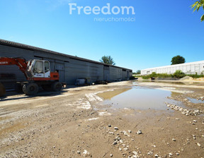 Magazyn, hala do wynajęcia, Opole Zakrzów, 15 000 zł, 720 m2, 170/3685/OOW