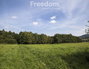 Działka na sprzedaż, Krośnieński Korczyna Krasna, 59 000 zł, 1600 m2, 6762/3685/OGS