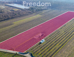 Działka na sprzedaż, Piaseczyński Tarczyn Marianka, 1 445 000 zł, 22 550 m2, 9997/3685/OGS