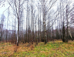 Działka na sprzedaż, Bialski Biała Podlaska Woskrzenice Duże, 69 000 zł, 15 800 m2, 9534/3685/OGS