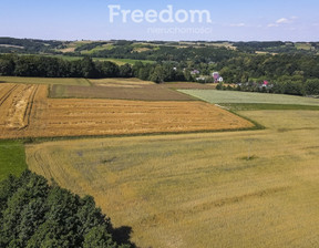 Działka na sprzedaż, Ropczycko-Sędziszowski Wielopole Skrzyńskie Brzeziny, 126 900 zł, 5972 m2, 6600/3685/OGS