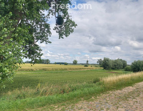 Rolny na sprzedaż, Malborski Malbork Kamienica, 88 000 zł, 9400 m2, 8648/3685/OGS