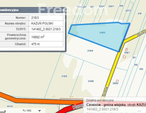 Działka na sprzedaż, Nowodworski Czosnów Kazuń Polski Widok, 1 500 000 zł, 10 700 m2, 9200/3685/OGS