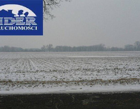 Rolny na sprzedaż, Poznański Tarnowo Podgórne Lusówko, 8 100 000 zł, 81 000 m2, 317520212
