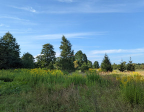 Działka na sprzedaż, Piaseczyński Góra Kalwaria Solec, 335 000 zł, 1200 m2, 20008