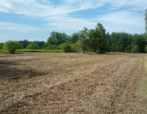 Działka na sprzedaż, Piaseczyński Góra Kalwaria Tomice, 125 000 zł, 999 m2, 19618