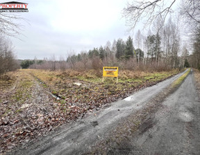 Działka na sprzedaż, Pabianicki Dłutów Huta Dłutowska Huta Dłutowska, 160 000 zł, 1325 m2, PRO-GS-10447