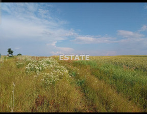 Działka na sprzedaż, Poddębicki Pęczniew Brzeg, 60 000 zł, 1460 m2, EST-GS-8107