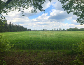 Działka na sprzedaż, Żyrardowski Puszcza Mariańska Zator, 900 000 zł, 18 325 m2, 123/3343/OGS