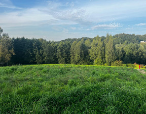 Działka na sprzedaż, Wielicki (pow.) Wieliczka (gm.) Siercza, 343 000 zł, 1000 m2, EFK-GS-2891