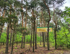 Leśne na sprzedaż, Warszawski Zachodni (pow.) Stare Babice (gm.) Borzęcin Duży, 214 500 zł, 3300 m2, 778590