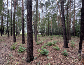 Działka na sprzedaż, Piaseczyński (pow.) Konstancin-Jeziorna (gm.) Konstancin-Jeziorna, 2 441 000 zł, 3313 m2, 3858