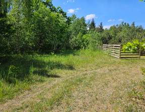 Działka na sprzedaż, Szczycieński Szczytno Olszyny, 89 000 zł, 3859 m2, 2895