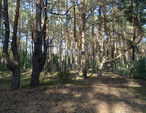 Handlowo-usługowy na sprzedaż, Otwocki (Pow.) Józefów Aleksandra Puszkina, 600 000 zł, 1657 m2, 695