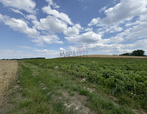 Działka na sprzedaż, Pyrzycki Bielice, 115 000 zł, 2300 m2, MAP22797