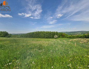 Działka na sprzedaż, Bocheński Łapanów Zbydniów, 250 000 zł, 8800 m2, 64/6680/OGS