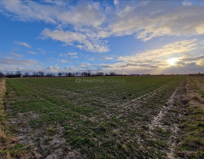 Rolny na sprzedaż, Bialski Terespol Polatycze, 35 000 zł, 8482 m2, NURU218