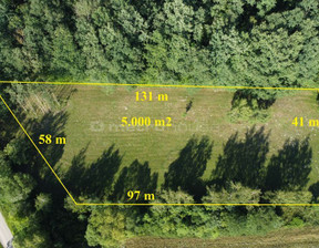 Działka na sprzedaż, Pułtuski Pokrzywnica Ciepielin, 265 000 zł, 5000 m2, SGNEBA839