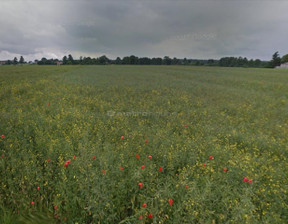 Rolny na sprzedaż, Zgierski Aleksandrów Łódzki Krzywiec, 4 950 000 zł, 51 937 m2, GEZI248