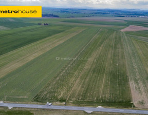 Działka na sprzedaż, Średzki Kostomłoty Jenkowice, 300 000 zł, 5000 m2, ZOBU846