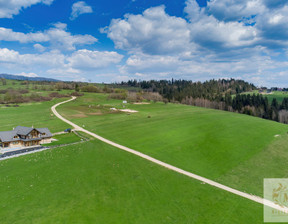 Działka na sprzedaż, Nowotarski (pow.) Czorsztyn (gm.) Kluszkowce Wronina, 3 199 000 zł, 6614 m2, 50