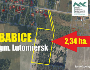 Działka na sprzedaż, Pabianicki (Pow.) Lutomiersk (Gm.) Babice, 2 000 000 zł, 23 400 m2, 14