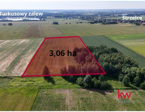 Działka na sprzedaż, Oleśnicki (pow.) Dobroszyce (gm.) Strzelce Strzelce, 1 260 000 zł, 30 659 m2, 17RI