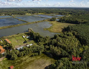 Działka na sprzedaż, Nowotomyski Miedzichowo Trzciel-Odbudowa, 258 000 zł, 6632 m2, KW472054