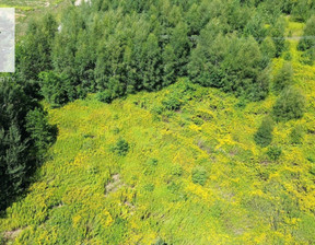 Działka na sprzedaż, Gębiczyna, 199 000 zł, 6900 m2, 21865