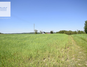 Działka na sprzedaż, Łęki Dolne, 80 000 zł, 5600 m2, 21666