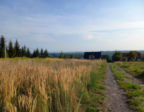 Budowlany na sprzedaż, Krakowski (Pow.) Skała (Gm.) Świńczów, 290 000 zł, 1000 m2, 19236269