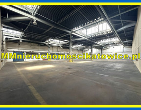 Magazyn do wynajęcia, Sosnowiec, 71 400 zł, 3400 m2, 19126041