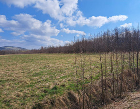 Działka na sprzedaż, Jasielski (pow.) Osiek Jasielski (gm.) Pielgrzymka, 110 000 zł, 17 019 m2, 122