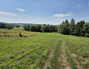 Działka na sprzedaż, Brzozowski (pow.) Domaradz (gm.) Golcowa, 79 000 zł, 8051 m2, 141