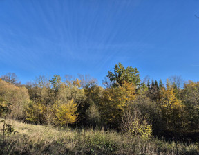 Działka na sprzedaż, Krośnieński Dukla Jasionka, 49 000 zł, 7000 m2, 152