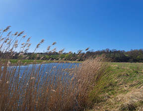 Rolny na sprzedaż, Jasielski Dębowiec, 55 000 zł, 5408 m2, 53