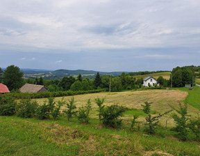 Działka na sprzedaż, Brzozowski Dydnia Niebocko, 85 800 zł, 2860 m2, 158