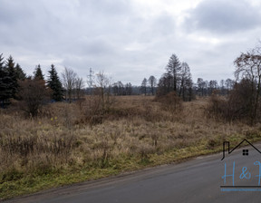 Działka na sprzedaż, Łaski Łask Utrata, 290 000 zł, 8081 m2, 902126