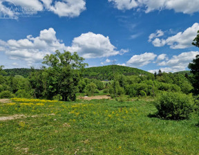 Działka na sprzedaż, Gorlicki (pow.) Uście Gorlickie (gm.) Wysowa-Zdrój, 240 000 zł, 2000 m2, 68