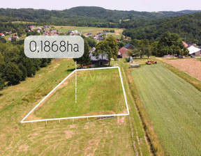 Działka na sprzedaż, Brzeski Dębno Doły, 110 000 zł, 1564 m2, 55