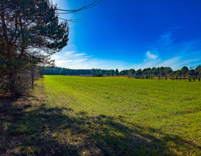 Działka na sprzedaż, Grodziski Żabia Wola Bartoszówka Pogodna, 850 000 zł, 19 141 m2, 433595