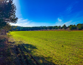 Działka na sprzedaż, Grodziski Żabia Wola Bartoszówka Pogodna, 149 000 zł, 1018 m2, 829832