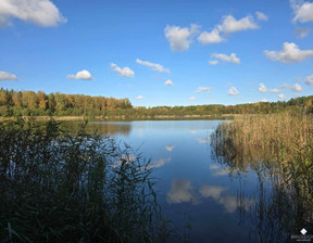 Działka na sprzedaż, Szczycieński Dźwierzuty Targowska Wola, 110 000 zł, 2655 m2, 529