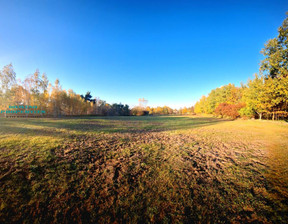 Działka na sprzedaż, Warszawski Zachodni (pow.) Stare Babice (gm.) Klaudyn, 4 327 500 zł, 5770 m2, 52